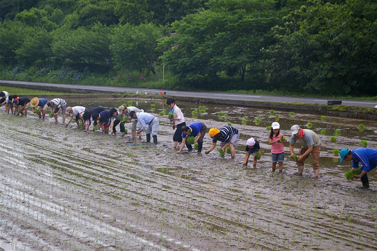 「宇佐うまい酒をつくる会」で行った田植え式（2010年6月）