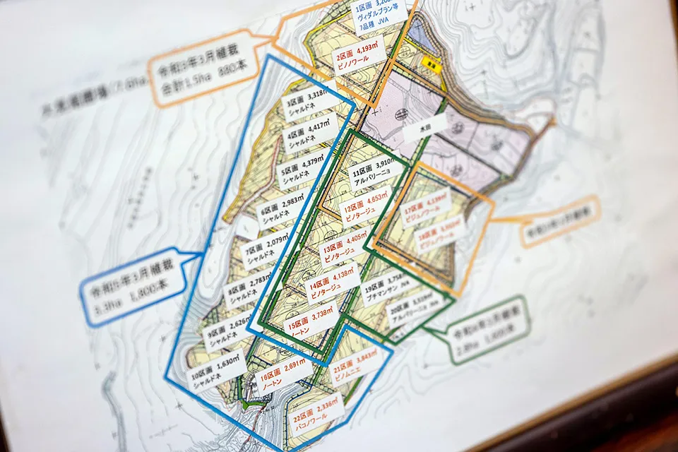 自社農園ののべ面積は約16ha。約20種類の醸造用ぶどうを栽培している