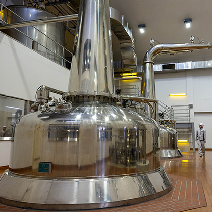 Dr.下田の新本格焼酎論 第4回［think KOJI 麹文化と発酵］