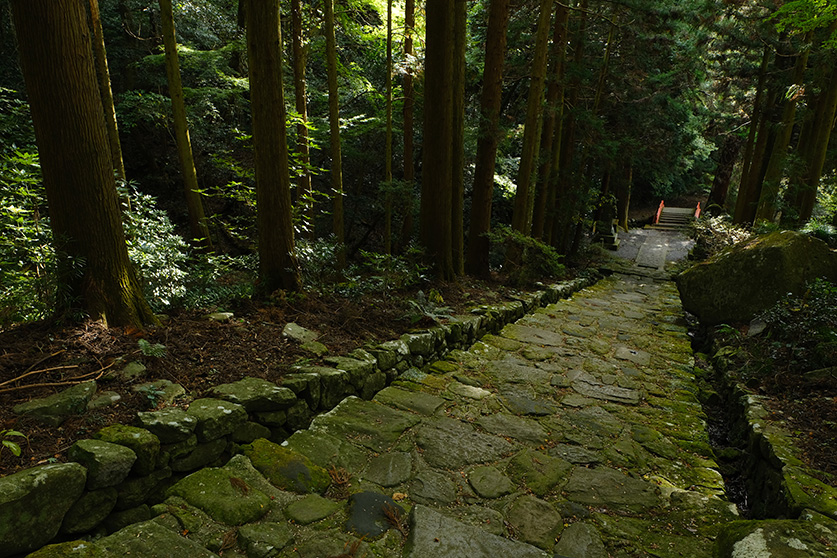 両子寺（ふたごじ）