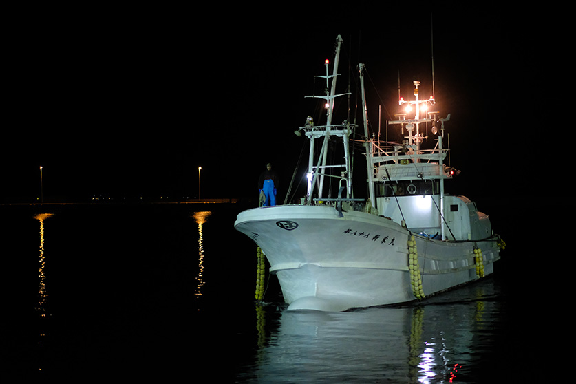 夜が明ける前に続々と漁から戻るまき網漁の運搬船（鶴見市場）
