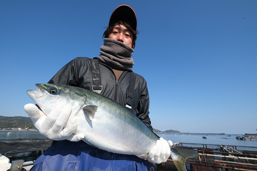 「かぼすブリ」を抱える大分みらい水産のスタッフ（臼杵湾の養殖場）