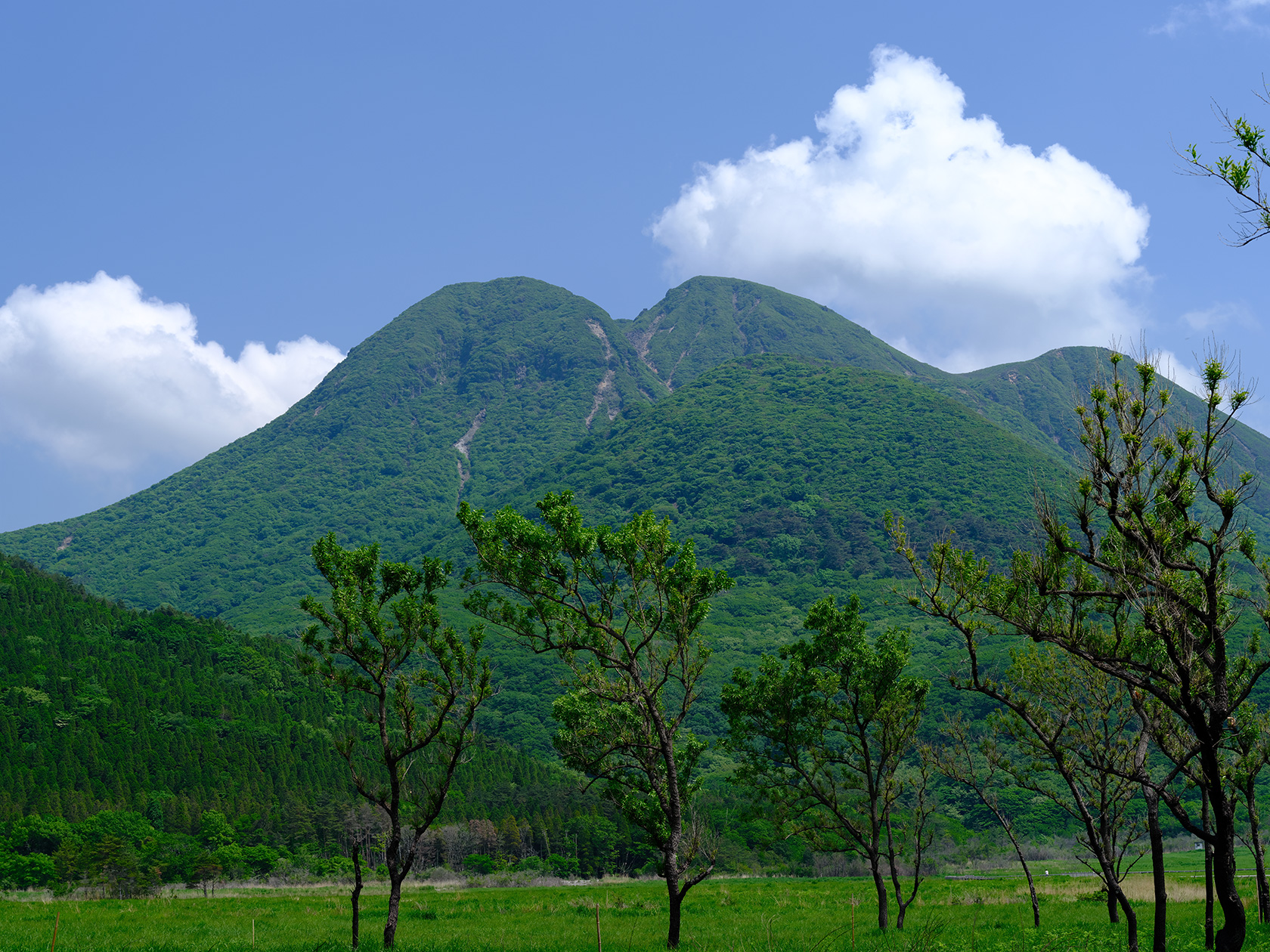 久住高原