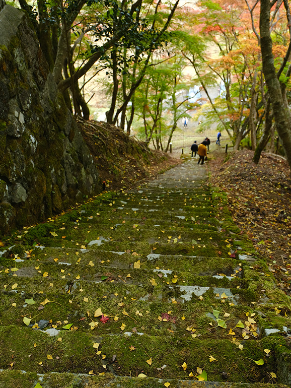 耶馬溪・御霊神社界隈