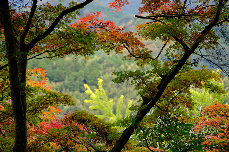 耶馬溪・御霊神社界隈