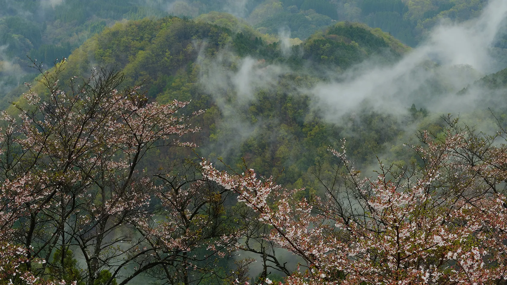 御嶽山自然公園（豊後大野市清川町）