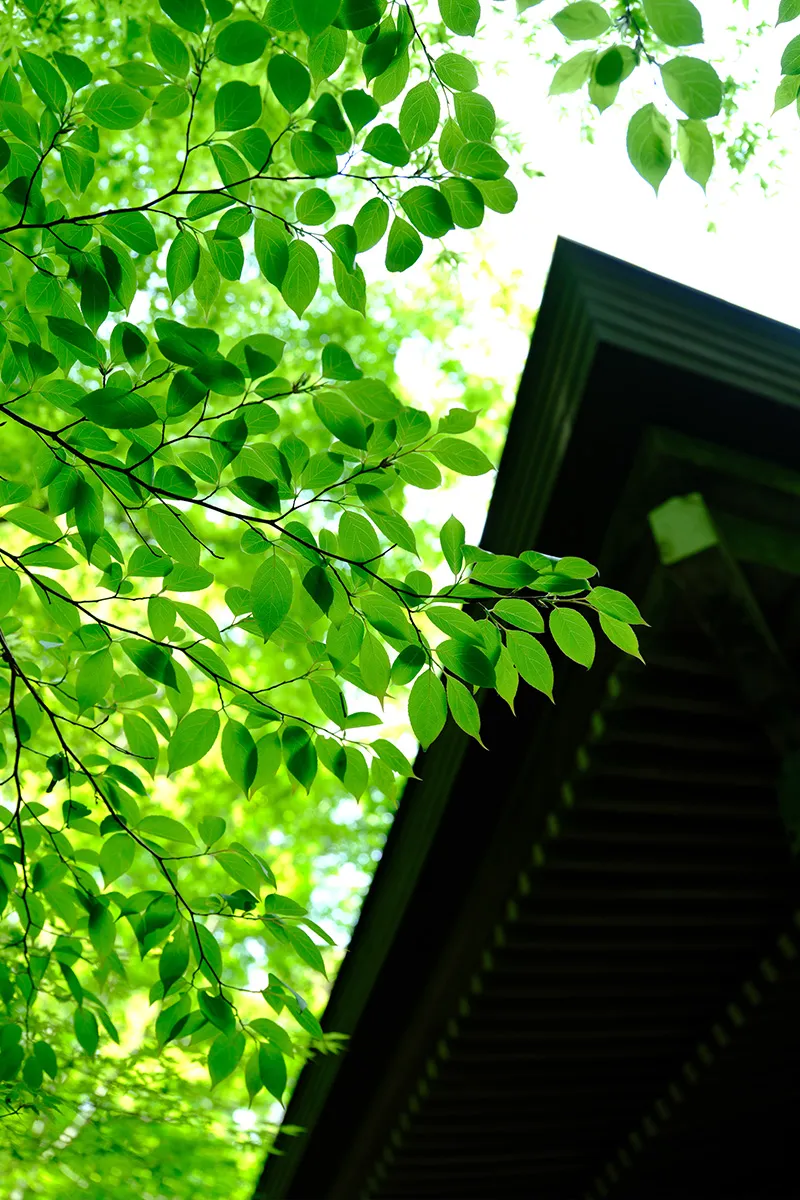 両子寺（国東市安岐町）