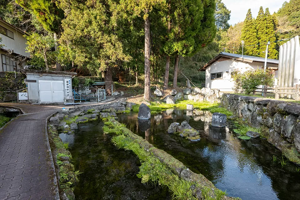 泉水湧水。透明な水をたたえており、池は庭園風に整備されている