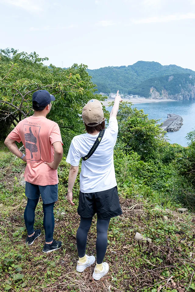 高浜海岸を見下ろす高台からの景観は見事。フォトスポットとして知られ、桜まつりのリーフレットにもここの写真が使われている