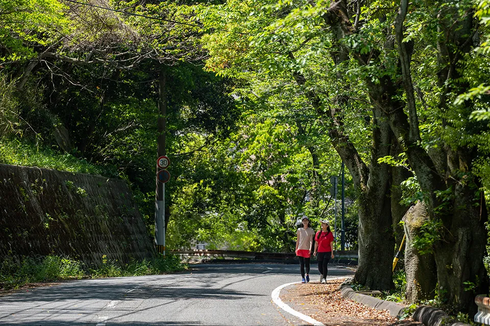 湯けむり展望台への登り坂。温泉地とは違った、自然豊かな景色が増えてくる