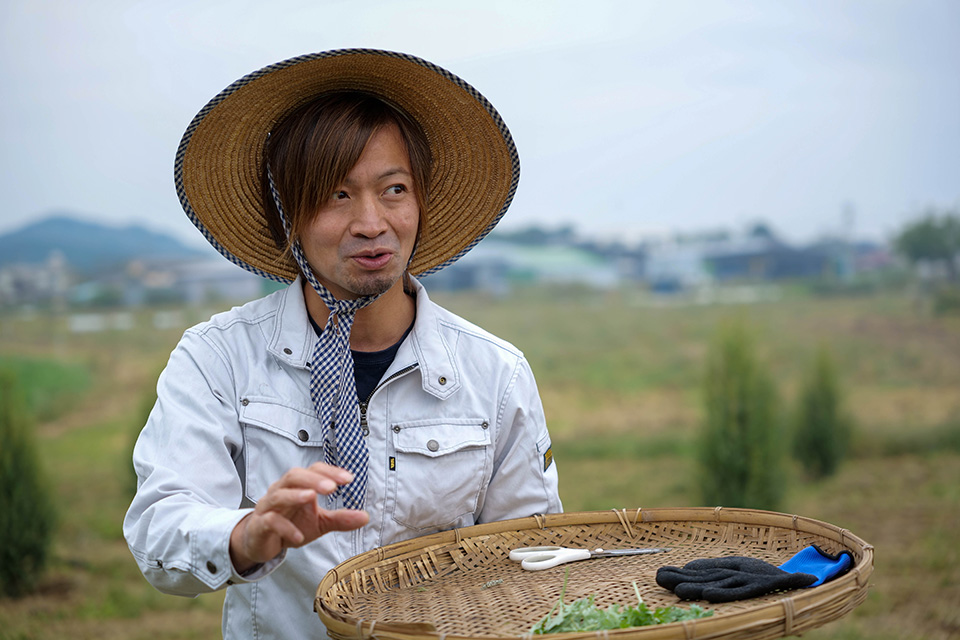 昼間に採ったハーブをその日にお店でカクテルにして提供することもある