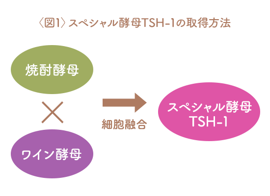 〈図1〉スペシャル酵母TSH-1の取得方法