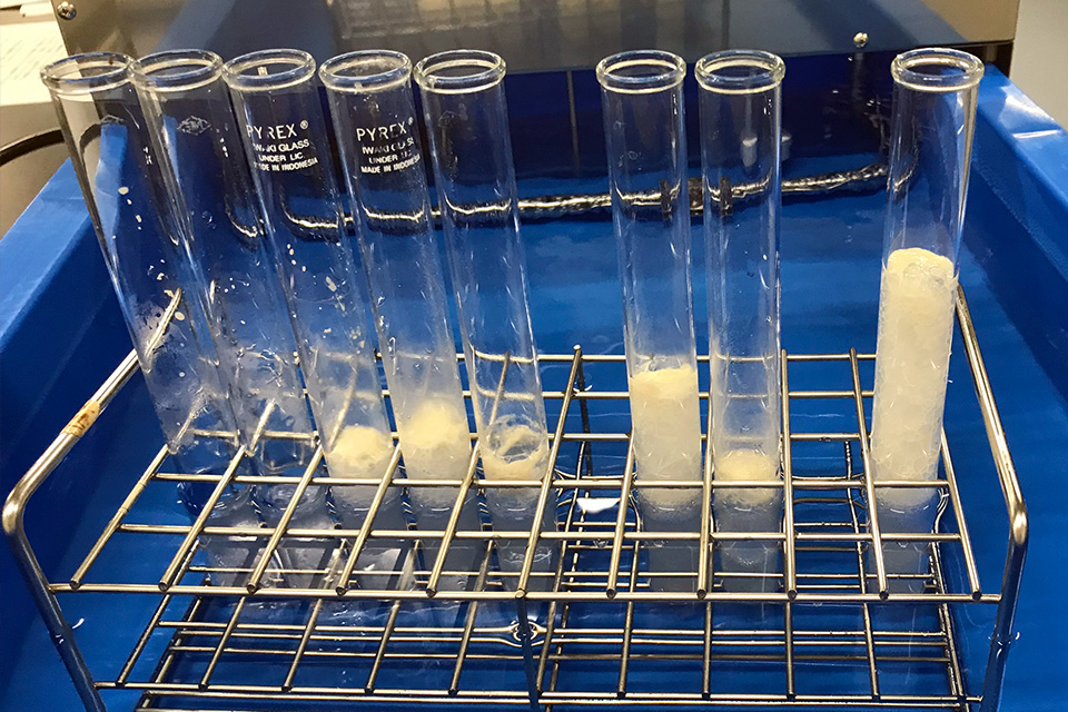 酵母の発酵試験