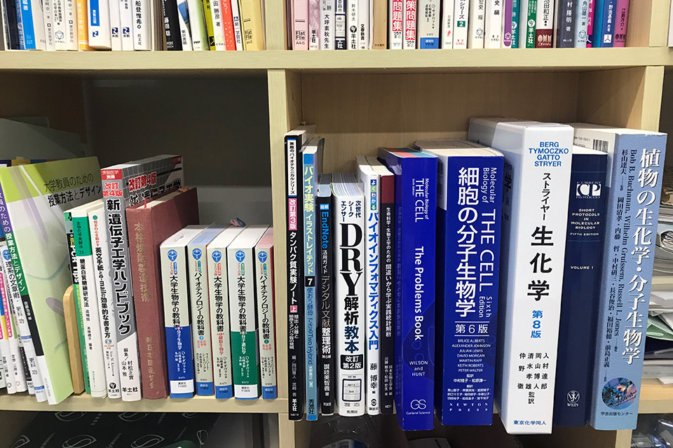 別府大学教授 陶山明子さん 研究室の様子