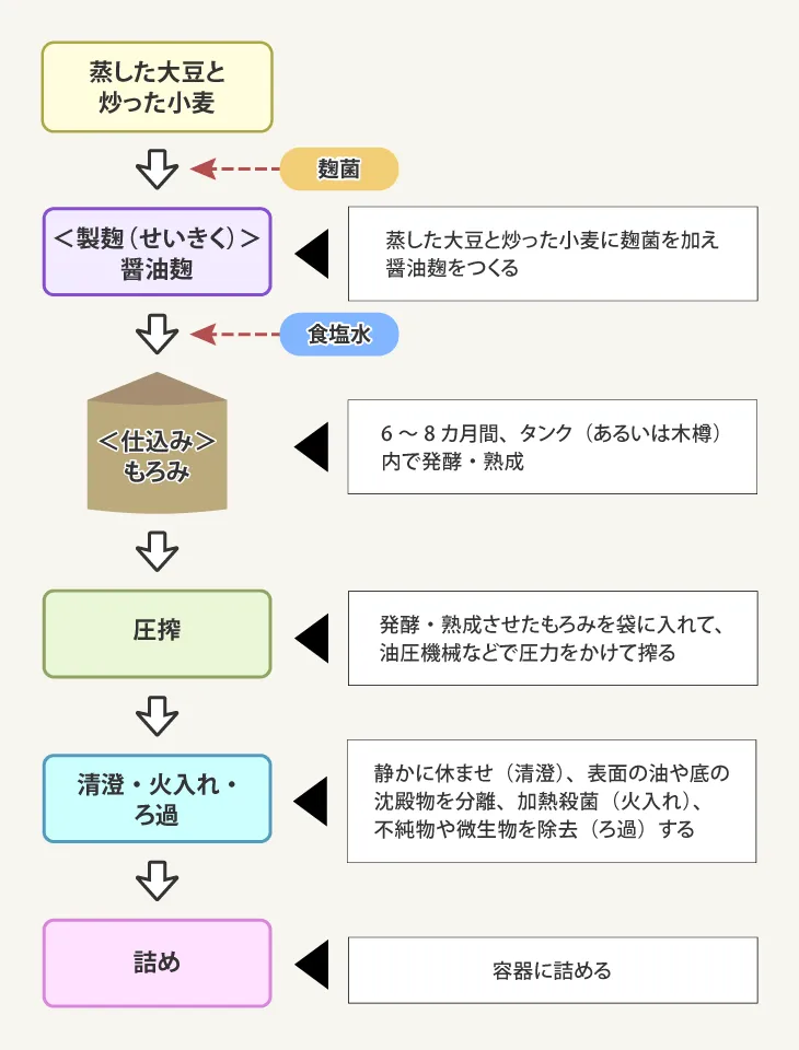 イラスト_醤油の製造工程