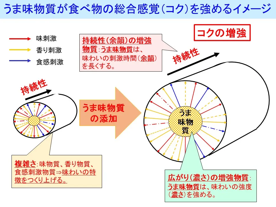 コクは「複雑さ」、「広がり」、「持続性」の3つの要素から構成されている
