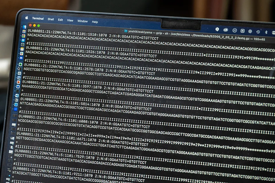 DNA解析データ。アデニン（A）、シトシン（C）、グアニン（G）、チミン（T）という4種類の塩基が表示される