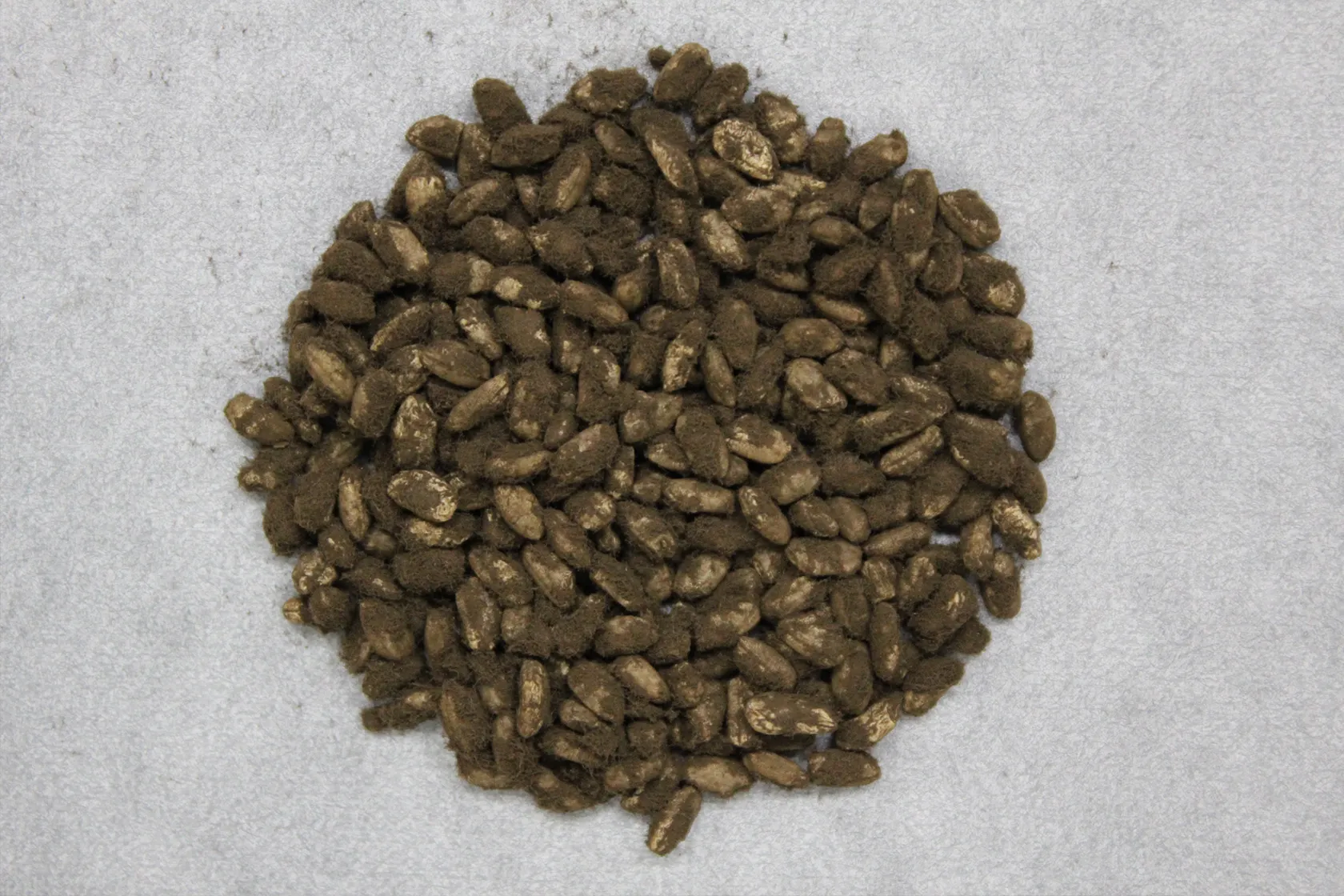 三和酒類株式会社 取締役会長 下田雅彦