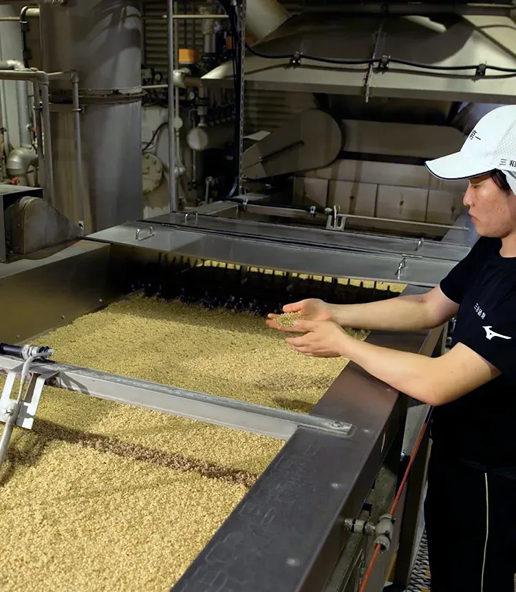 本格焼酎のつくり方：「一麹」〜酒の味わいを決める原料処理と麹づくり
