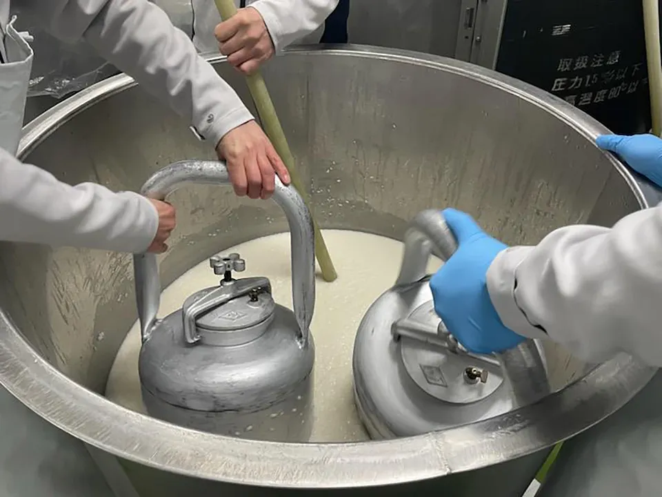 仕込み桶に暖気樽を入れて温度調節をする様子