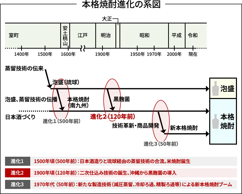 本格焼酎進化の系図（作：下田雅彦）