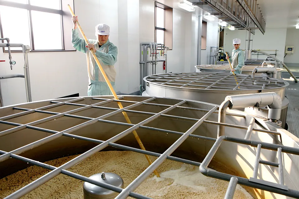 櫂棒による櫂入れの様子