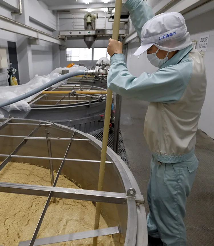 本格焼酎のつくり方：「二酛、三つくり」前編～発酵の「もと」となる酵母を増やす「一次仕込み」