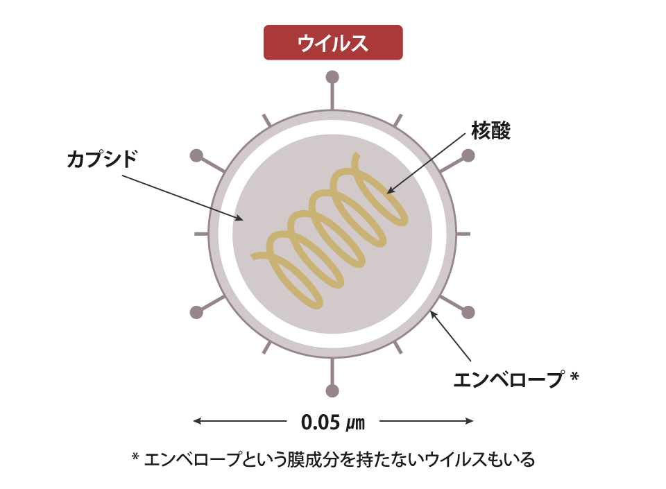 生物の仲間には分類できない「ウイルス」