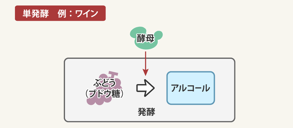 ぶどうの果実に含まれるブドウ糖をアルコール発酵する