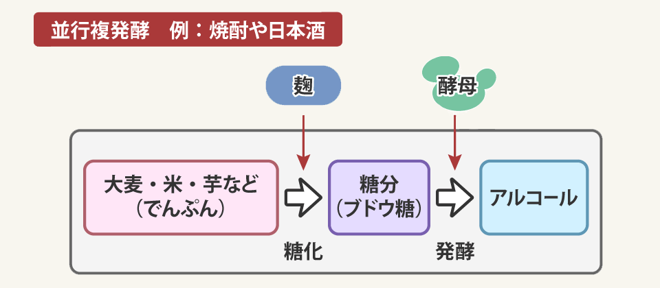 麹に含まれている酵素による糖化と、酵母のアルコール発酵が同時に（並行して）行われる