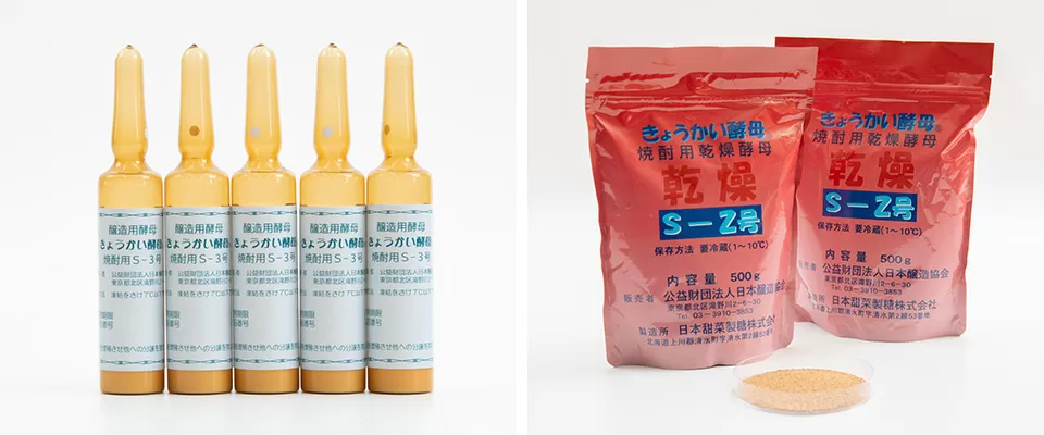 日本醸造協会で販売している「きょうかい酵母」の一部。左がアンプルに入った液状タイプ（アンプル酵母）。右が乾燥酵母（写真提供：公益財団法人日本醸造協会）