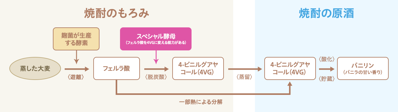 図　焼酎製造の工程でバニラのような香りが生まれるメカニズムの例　☆香気成分：バニリン