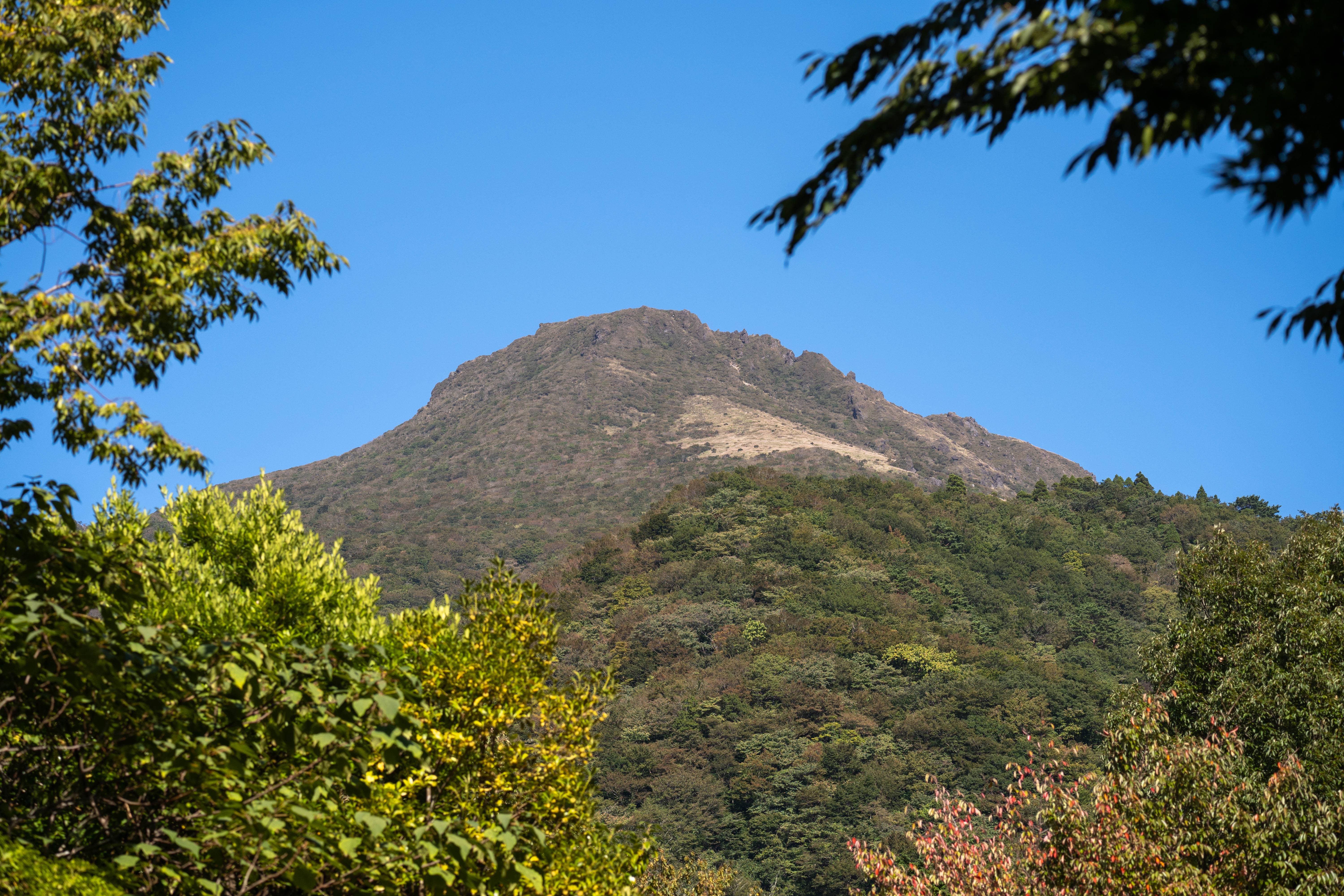 湯布院町川上から望む由布岳