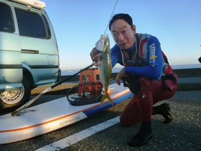 サップで出かけた釣りの成果（写真提供：石丸謙二郎）