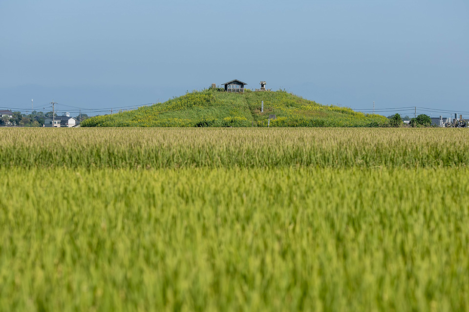 国の史跡に指定された葛原地区の葛原古墳。現存するのは円墳だが、前方後円墳の前方部が削られたものという説もある