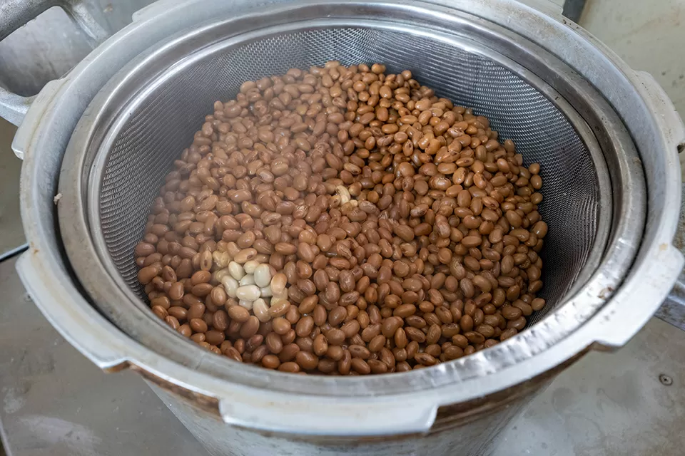 圧力なべで約2時間蒸した大豆。鍋の蓋を開けると湯気と共に大豆の甘い香りが作業場に広がった
