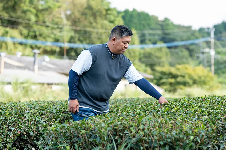 「茶聖（ちゃせい）」の称号を持つ「お茶の川谷園」の川谷哲也さん